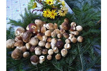 Словакия Privát Oščadnica, Екстериор